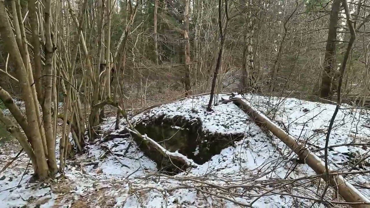 Лес 43 Крево Запад-1. Немецкий бетонный блиндаж 2 (511).  30 марта 2023 года