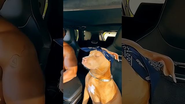1000085637.mp4
