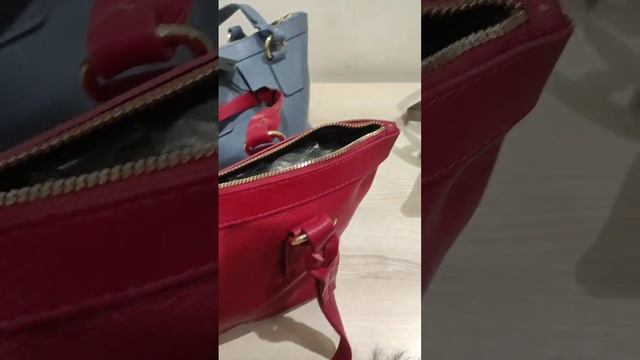 video_2024-12-02_15-31-16