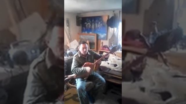 Алтайский Кайчи жгет.