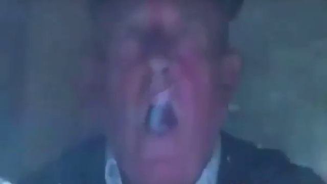 собака  спасла  друга