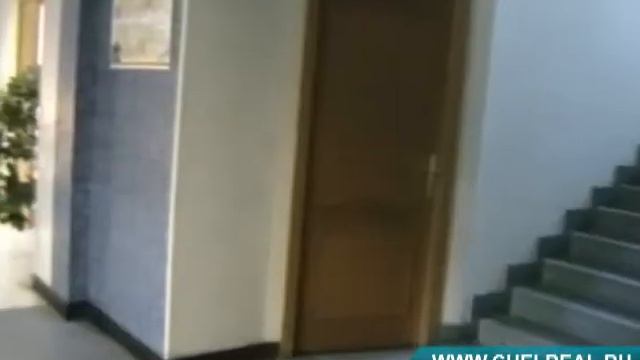 CHELREAL_Теплоприбор_8-02-10.mp4