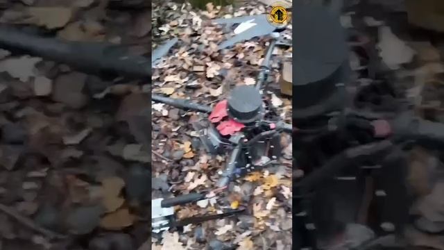 Наши бойцы изучают новую добычу