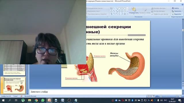 Прямая трансляция пользователя Виктор Орехов