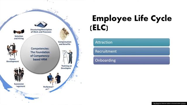 Employee Life Cycle (ELC) Concepts for the SHRM-CP/PHR Exam