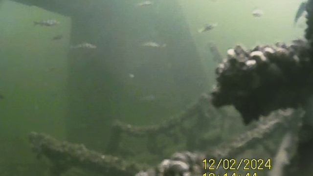 1000034242.mp4Волга гл 4м 02.12.2024г.