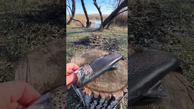 coocing and eat fish