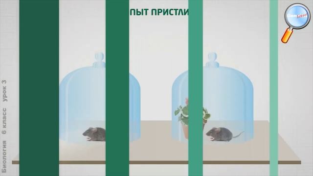 Опыт Джозефа Пристли