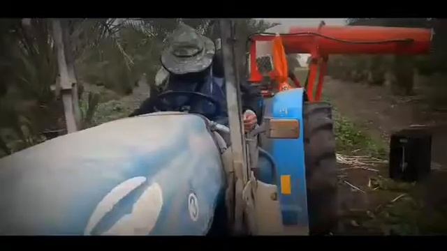 israel dates farm