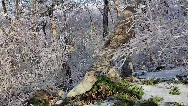 Воскресная прогулка по заснеженным верхушкам Олимпа ⛰️☃️