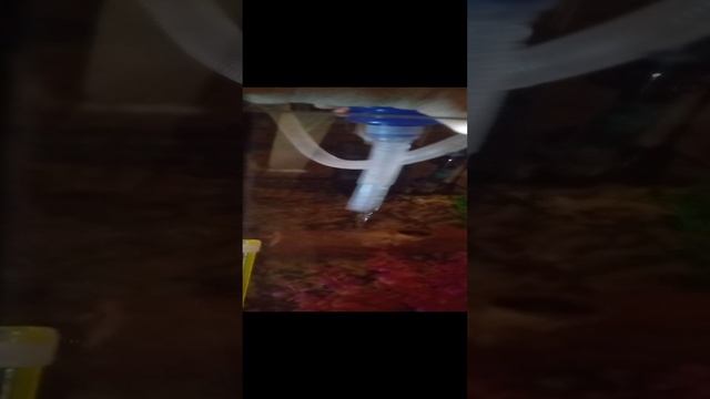 VID_20241202_113056.mp4