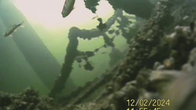 1000034240.mp4Волга гл.4м.02.12.2024г.
