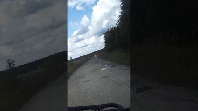 На питбайках по деревне Сысоево 19,08,2024