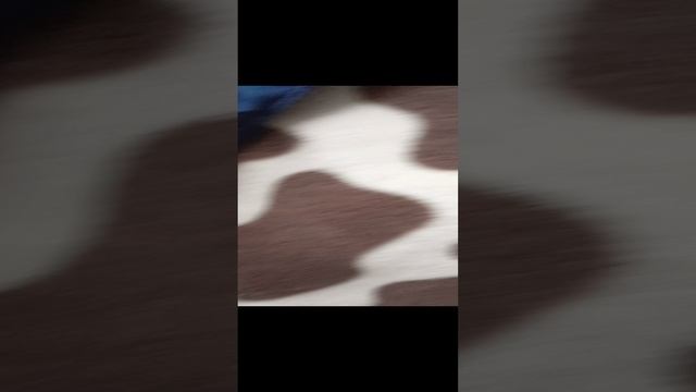 1000034378.mp4