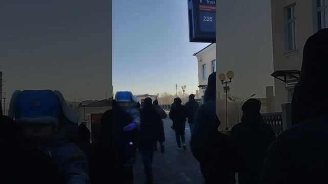 Дембель брата 2024 года .mp4