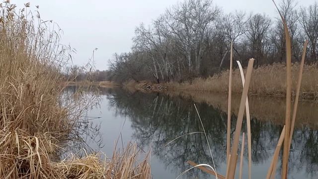 02.12.2024г.река Айдар...