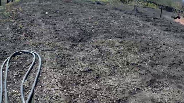 ЖИВЕМ В ДЕРЕВНЕ!!СВЕТЛАЯ ПАСХА!!МОРОЗ И СОЛНЦЕ!!!УЧУ МЕЛОДИЮ НА САКСОФОНЕ!!!Деревенский влог