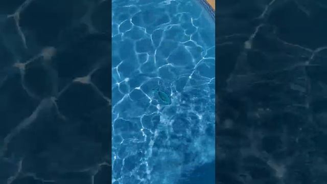 Температура воды в бассейне Египет ноябрь 2023