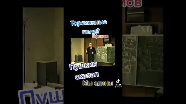 ТОРСИОННЫЕ ПОЛЯ