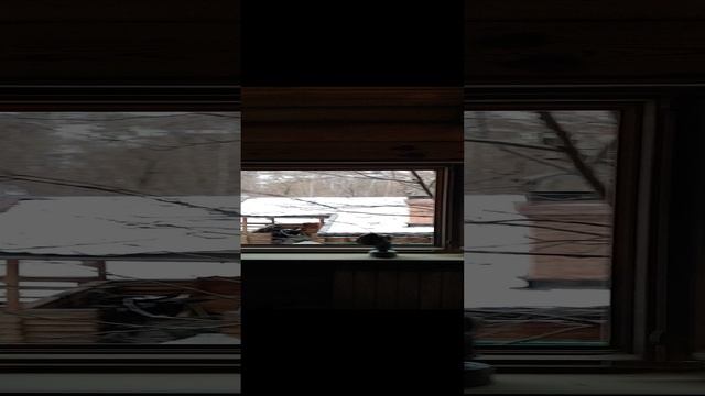 Обработка дома после пожара (дерево, бетон, кирпич)