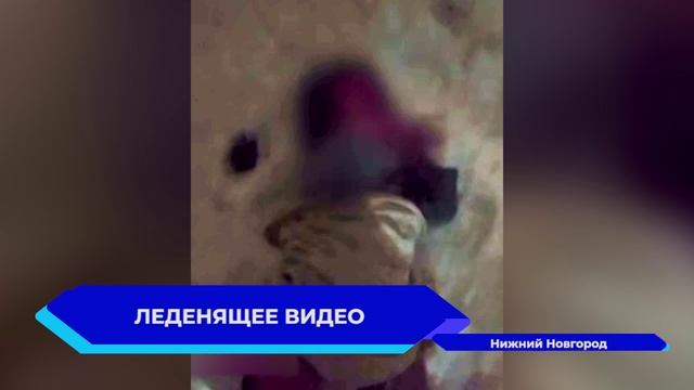 Нижегородка уложила свою 5-месячную дочку в снег