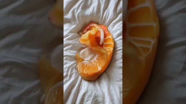 Вкусный котик