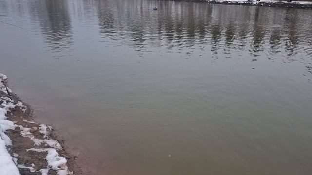 1000171888.mp4
