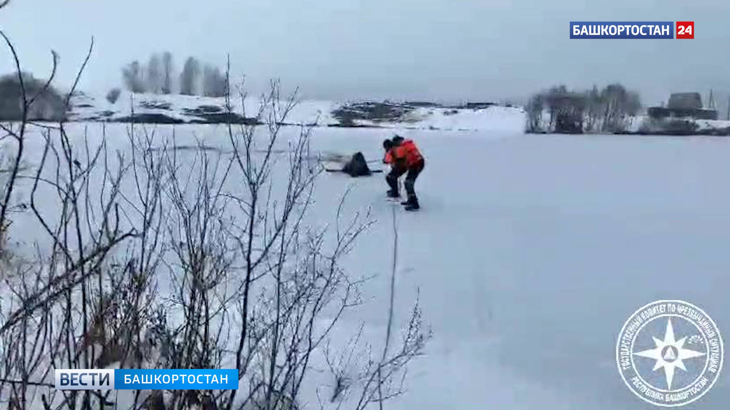 В Башкирии спасатели вытащили лося с середины замерзшего пруда