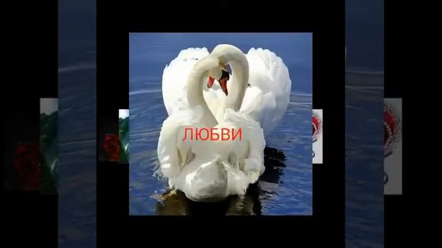 Сж(11)