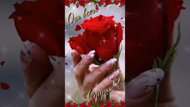 Video.Guru_20241202_190428253.mp4