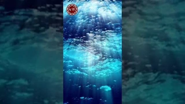 Быть честным с самим собой