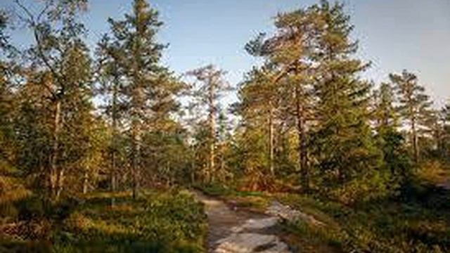 СЕРГЕЙ  АЛЕКСЕЕВ  " ДОЛИНА  СМЕРТИ "