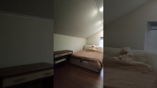 1000043447.mp4