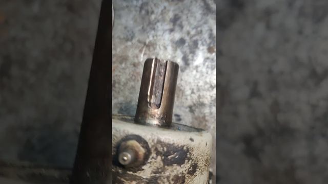 1000017572.mp4