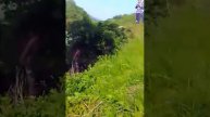 5 июня 2017 г.
