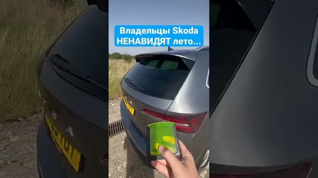 Владельцы Skoda НЕНАВИДЯТ лето...