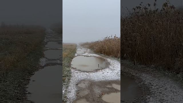 P026 Петарда Демон