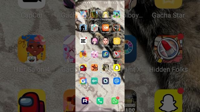 1000011262.mp4
