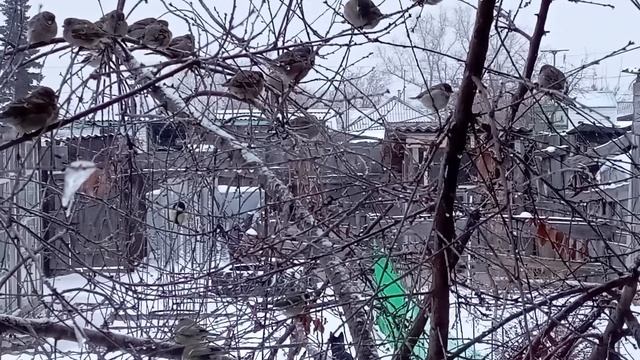 1000006002.mp4