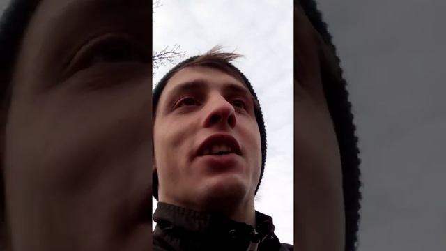шотландцы vs бессоница