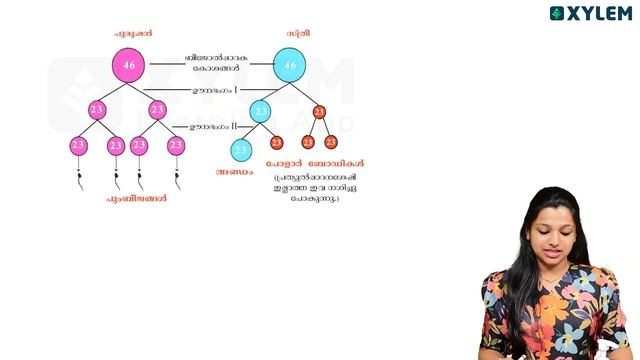 Class 9 Biology | Mitosis And Meiosis ഇത് മാറിപോകരുത്! | Xylem Class 9