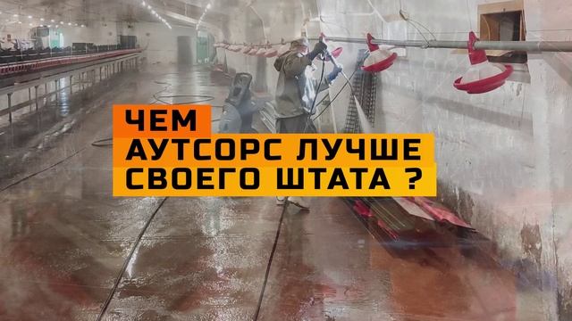 Моем мясоперерабатывающие предприятия, птичники и свинокомплексы