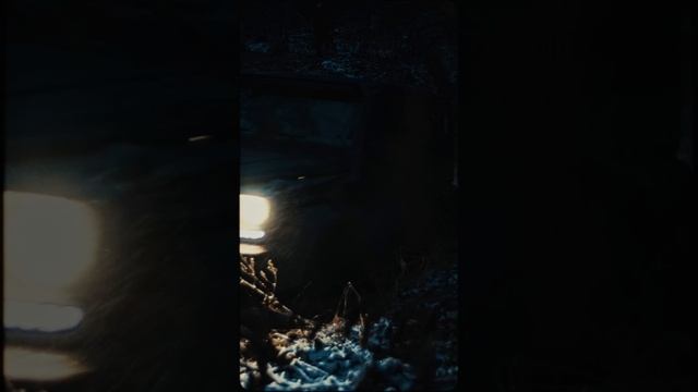 Гелик в ночном лесу