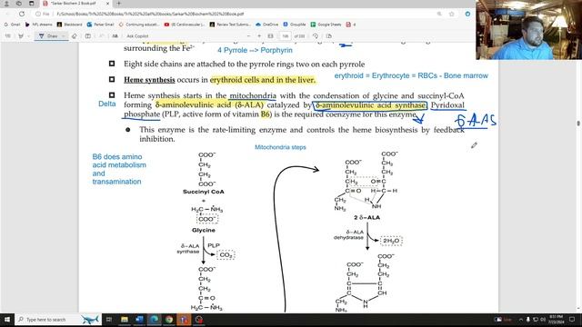 Biochem 2 Ch 9: Biologically Important Amino Acid Derivatives Part 1