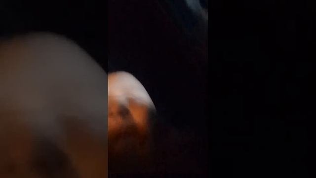 астро сезон 1