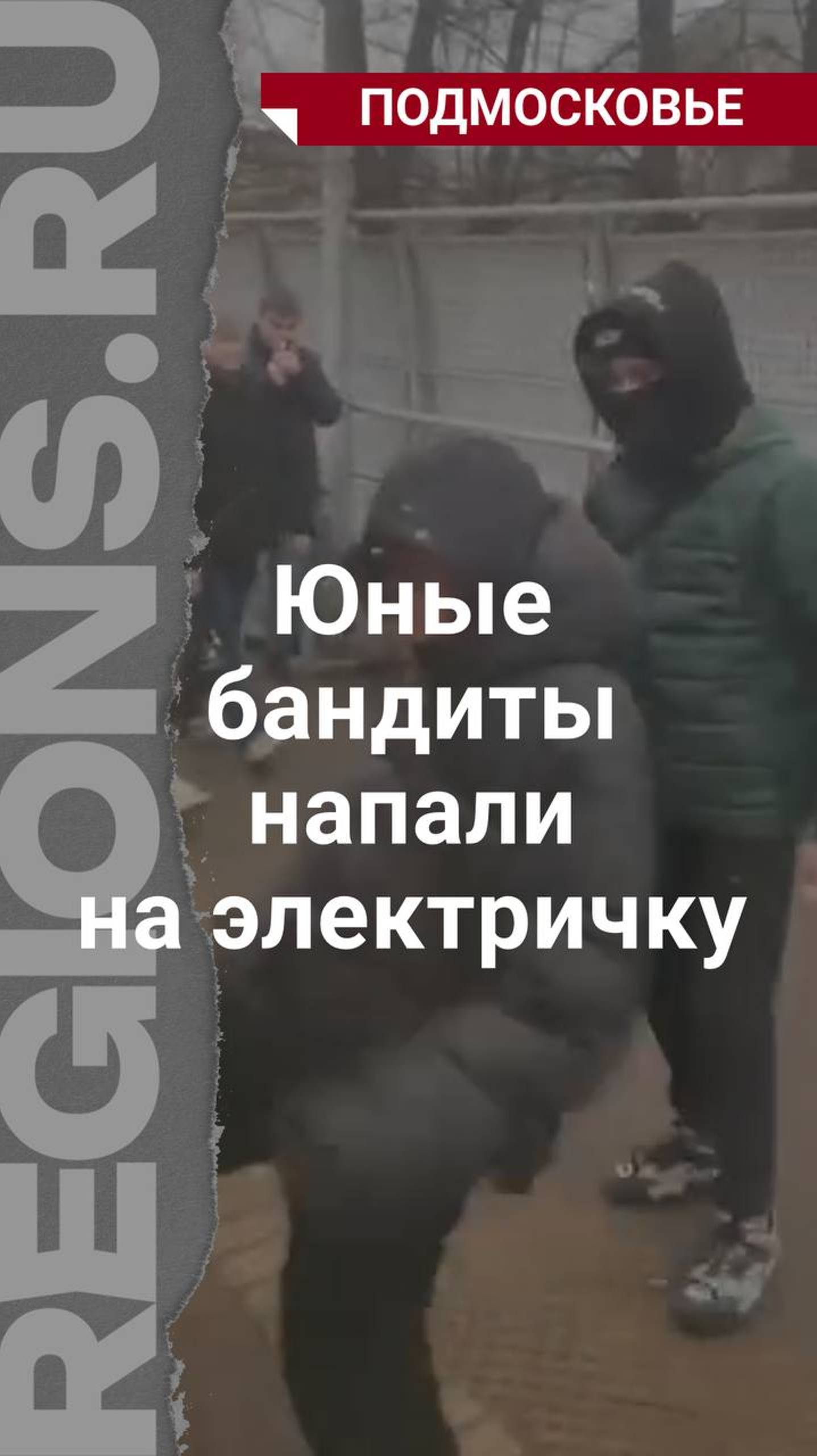 Инцидент произошел на станции Щелковского городского округа