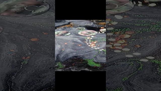 VID_20241202_070550.mp4