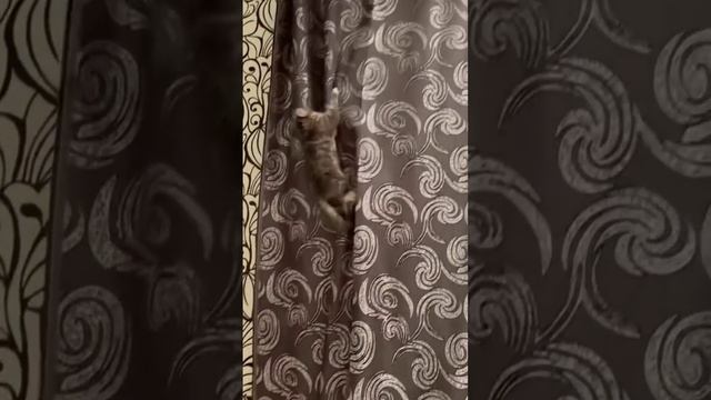 Миссия невыполнима