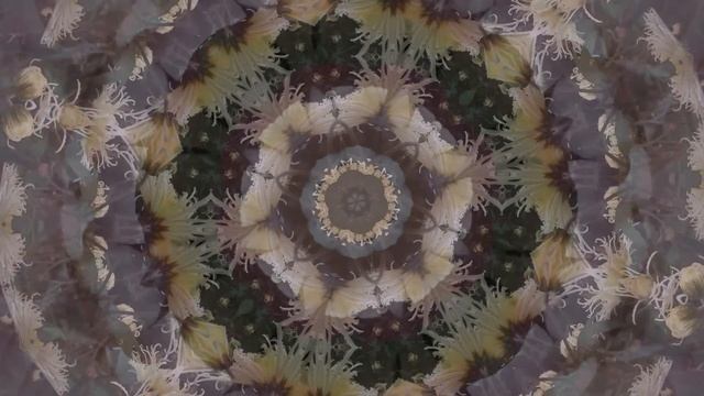 Людочка. Виктор Астафьев. 16+ Аудиорассказ.