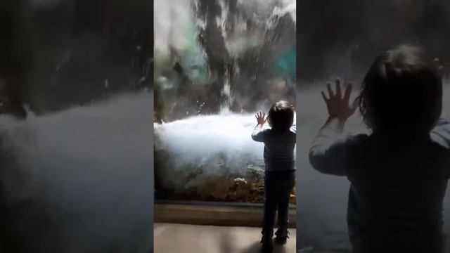 Водопад